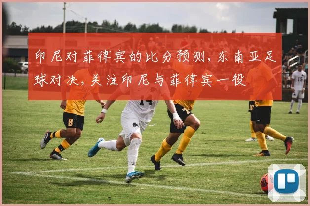 印尼对菲律宾的比分预测,东南亚足球对决,关注印尼与菲律宾一役