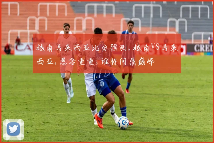 越南马来西亚比分预测,越南VS马来西亚,悬念重重,谁将问鼎巅峰