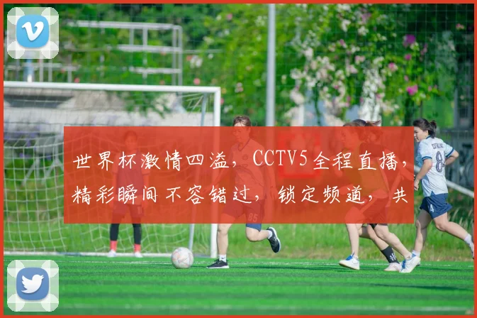 世界杯激情四溢，CCTV5全程直播，精彩瞬间不容错过，锁定频道，共享足球盛宴